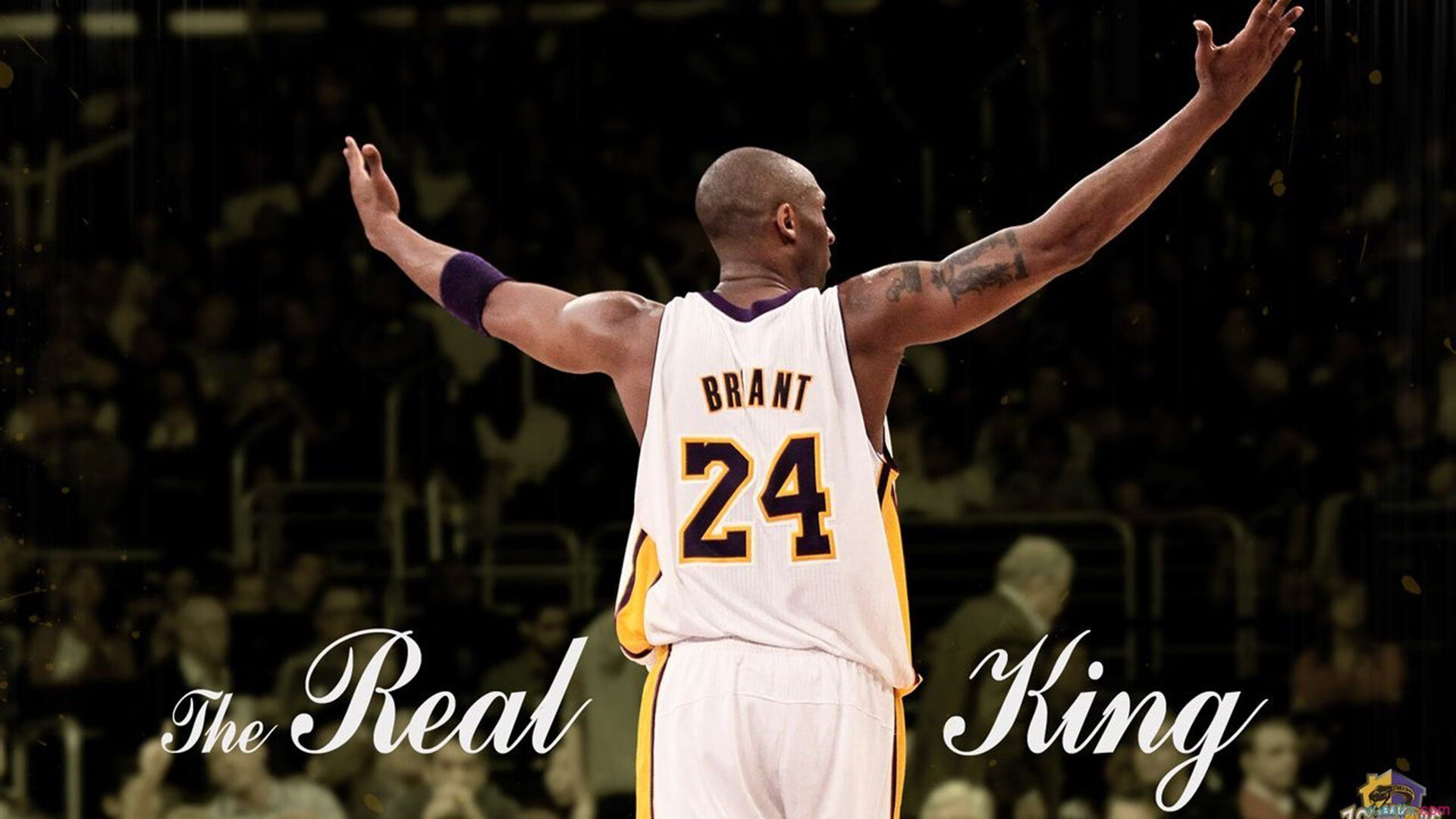 2026年亚洲残疾人游泳锦标赛 中国队刷新多项亚洲纪录